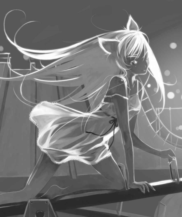 Bakemonogatari, Parte II